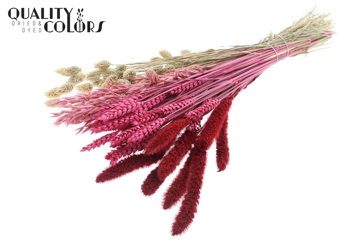 <h4>Dried Flower mix bunch Lady Mix</h4>