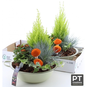 ARR TUINPLANTEN
