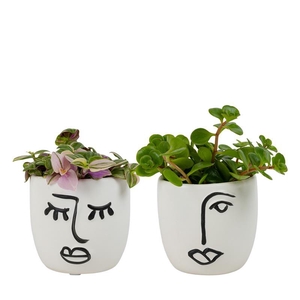 Foliage in Expression