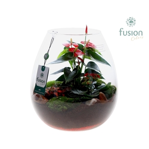 Green Bottle Abby XLarge met arrangement