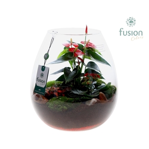 Green Bottle Abby XLarge met arrangement