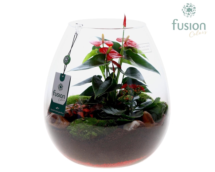 <h4>Green Bottle Abby XLarge met arrangement</h4>