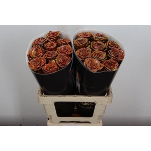 R Wx (rn) Yellow Gold