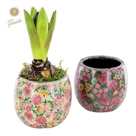 <h4>Hyacinth Mix 1603 Late Fashion 1pp</h4>