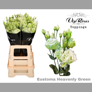 EUST G ALISSA HEAVENLY GREEN