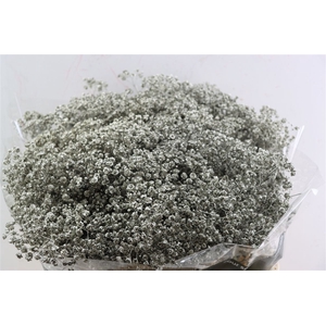 Gyps Grof. Mtlc Platinum