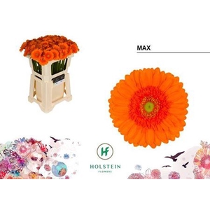 Ge Mi Max