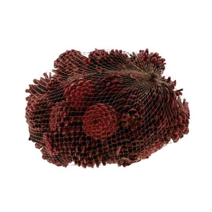 Pinecone Oostenrijker 1kg