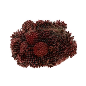 Pinecone Oostenrijker 1kg