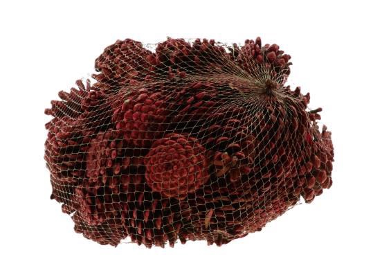 Pinecone Oostenrijker 1kg