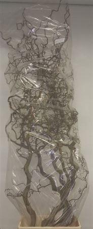 <h4>Corylus Avellana Contorta X5 200cm</h4>