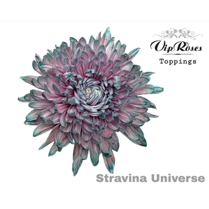 CHR G STRAVINA UNIVERSE