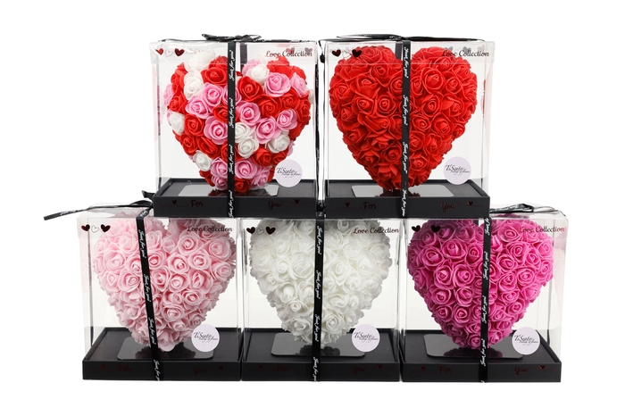 <h4>ARR ROSA POT H%</h4>