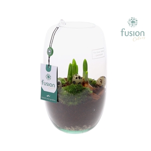 Green Bottle Isabella Medium Pasen met Bollen mix