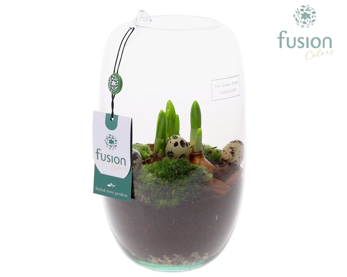 <h4>Green Bottle Isabella Medium Pasen met Bollen mix</h4>