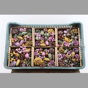 Sierfruit Mix X6 Antique Oker White Cerise Caramel