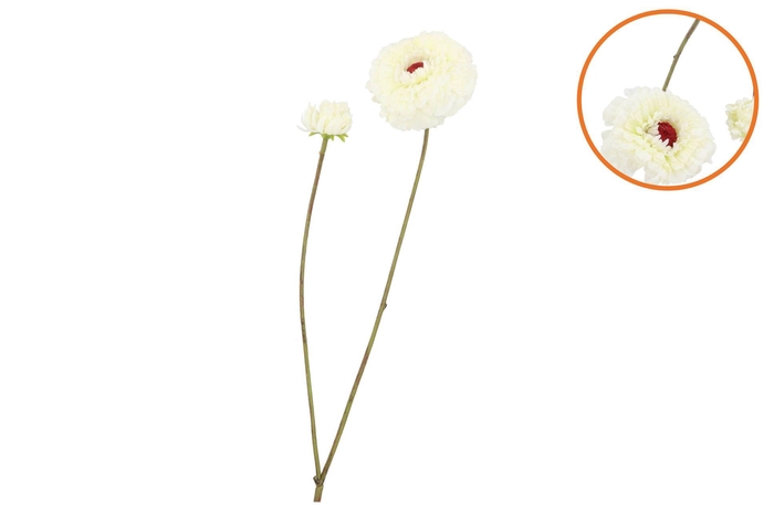 Silk Zinnia White 54cm