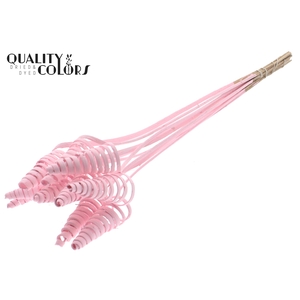 Cane Cone on stem Covered Light Pink