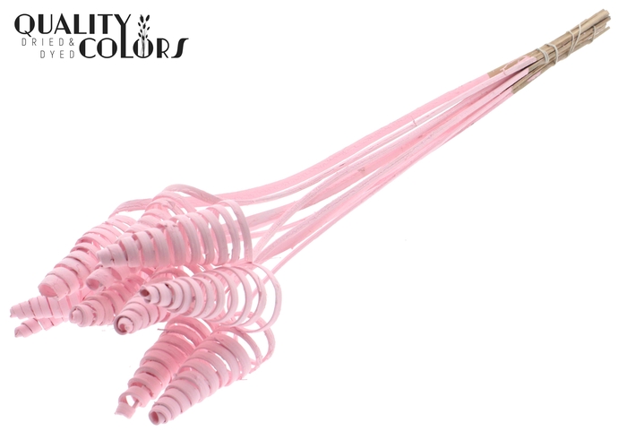 Cane Cone on stem Covered Light Pink
