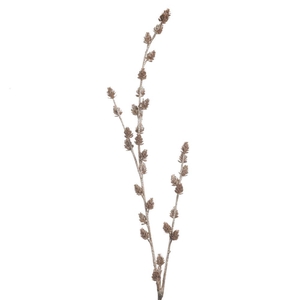 AF Cypres Cone Spr 113cm Gold