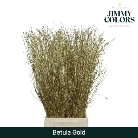 <h4>Betula L70 Mtlc. Gold</h4>