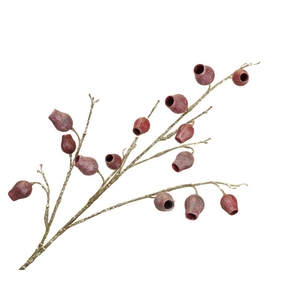 Eucalyptus Berry Aubergine