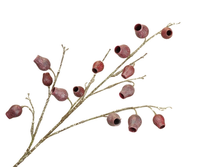 <h4>Eucalyptus Berry Aubergine</h4>
