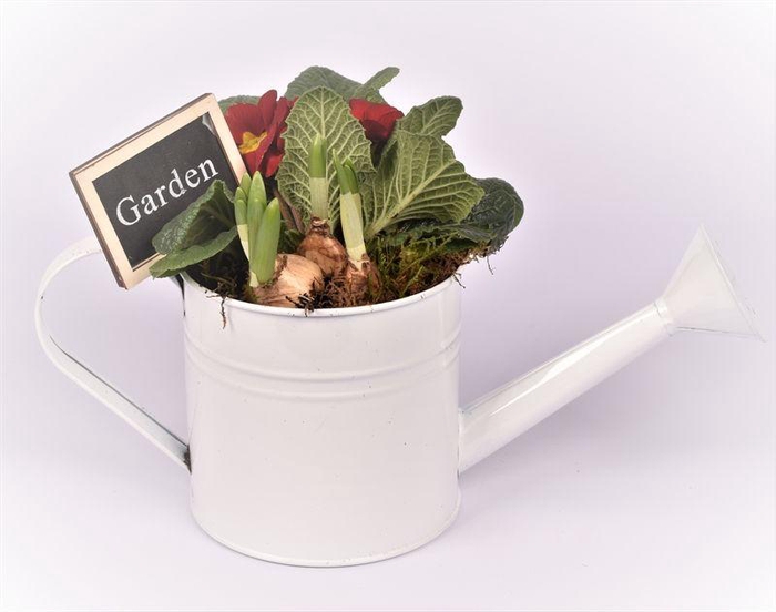 <h4>Zink gieter 13cm</h4>