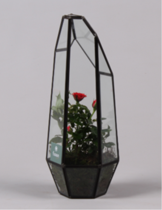 <h4>Metalen Geometrisch Lantaarn met Potroos</h4>