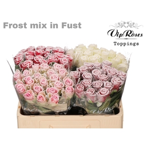 R Gr Vip Frost Mix In Fust (588)