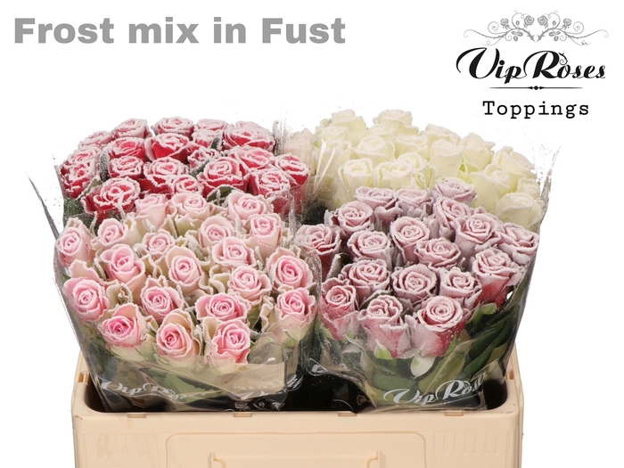 <h4>R Gr Vip Frost Mix In Fust (588)</h4>