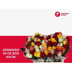 R Gr Mix In Bunch A2 Kneppers