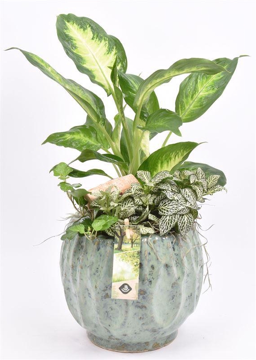 <h4>Keramiek pot gr/bl 14/18cm</h4>