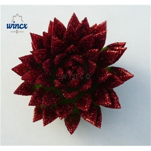 Echeveria Agavoides Glitter Red Cutflower Wincx-8c