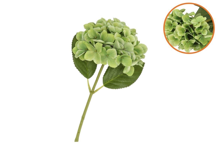 <h4>Silk Hydrangea Green 14x45cm</h4>