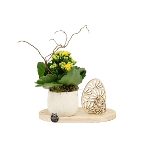 70724: Pasen arrangement