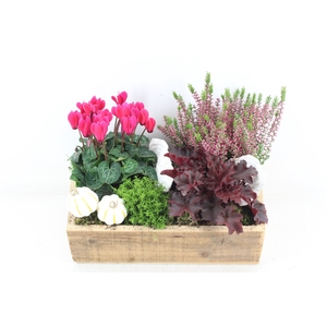 arr4 Outdoor VL - Kist naturel