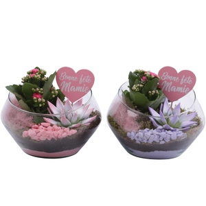 Grandmothers Day Arr. Indoor Glass Oblique UFO Vase Ø20cm 2PP