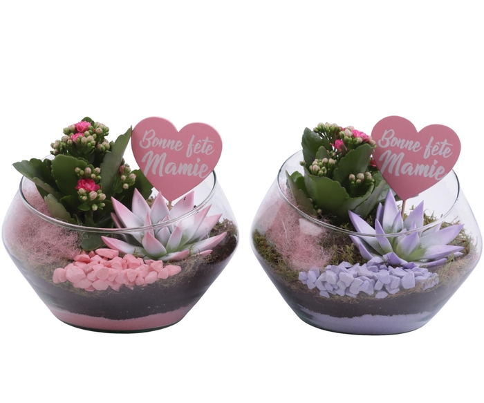 <h4>Grandmothers Day Arr. Indoor Glass Oblique UFO Vase Ø20cm 2PP</h4>