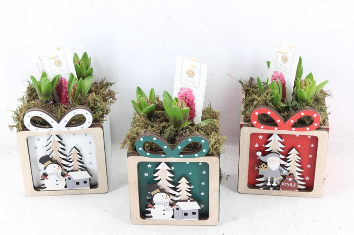 <h4>arr4 Hyacint FL - Christmas present mix</h4>