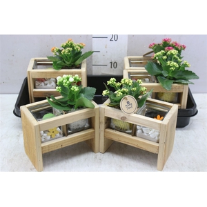 Arr 2276 Hout + 2 Glaspotjes