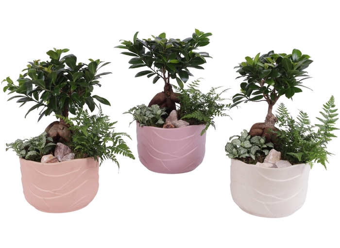 <h4>Yearround Arr. Indoor Ceramic Soft Elegance SE660 Ø20cm 3PP</h4>