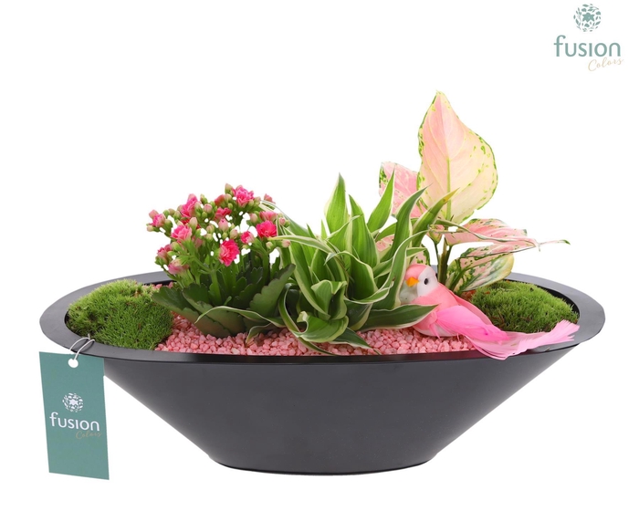 <h4>Schaal zink antraciet met Arrangement</h4>