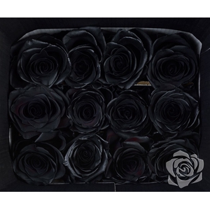 R GR TINTED BLACK EQ