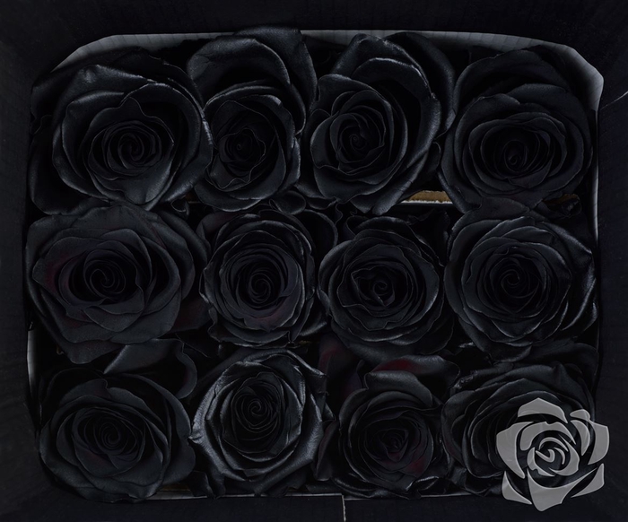 <h4>R GR TINTED BLACK EQ</h4>
