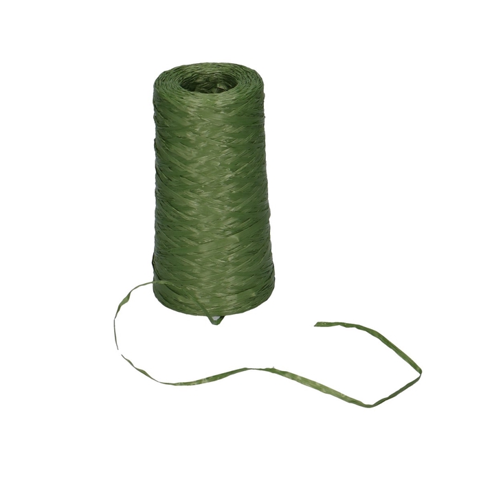 <h4>Draad Bindebast 3mm 500m</h4>