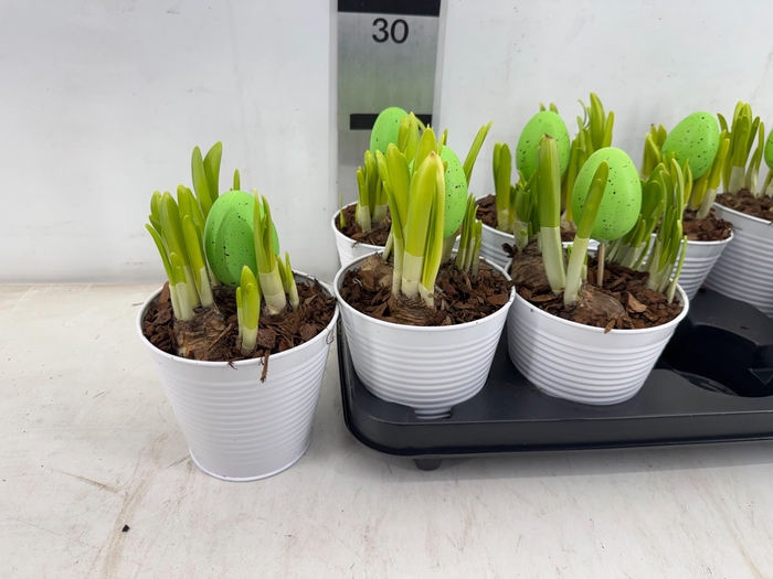 <h4>ARR N TETE A TETE</h4>