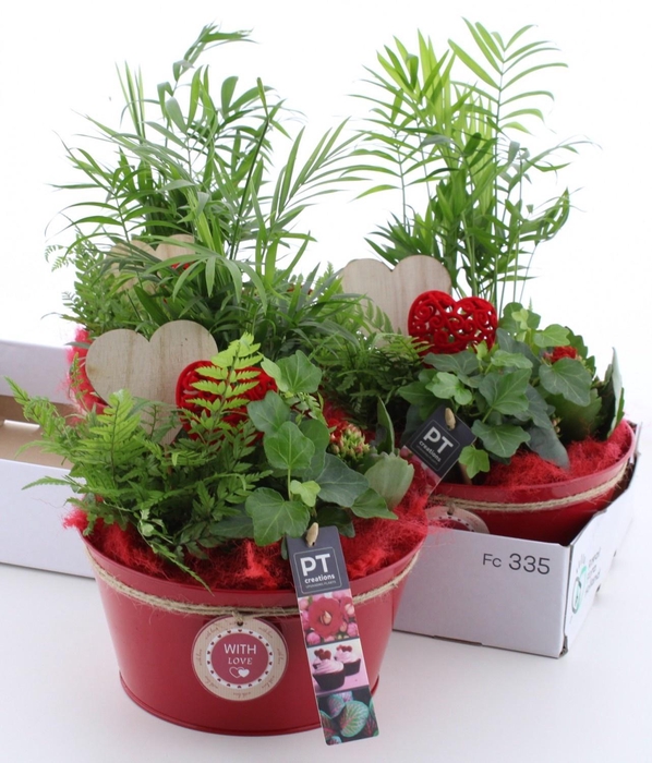 <h4>ARR KAMERPL</h4>