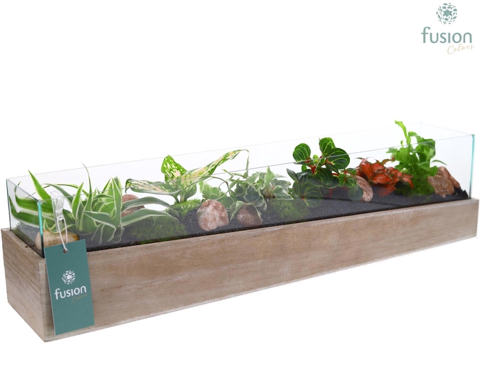 <h4>Aquarium Large met Trendy groene planten</h4>