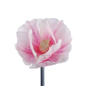 Stem Magnolia Bloom L30w30h35